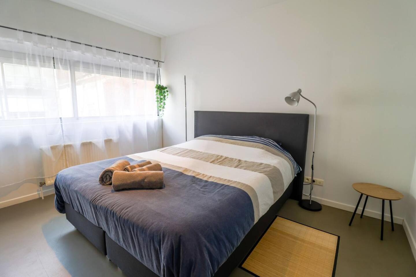 Apartment Scheldekaai 安特卫普 外观 照片